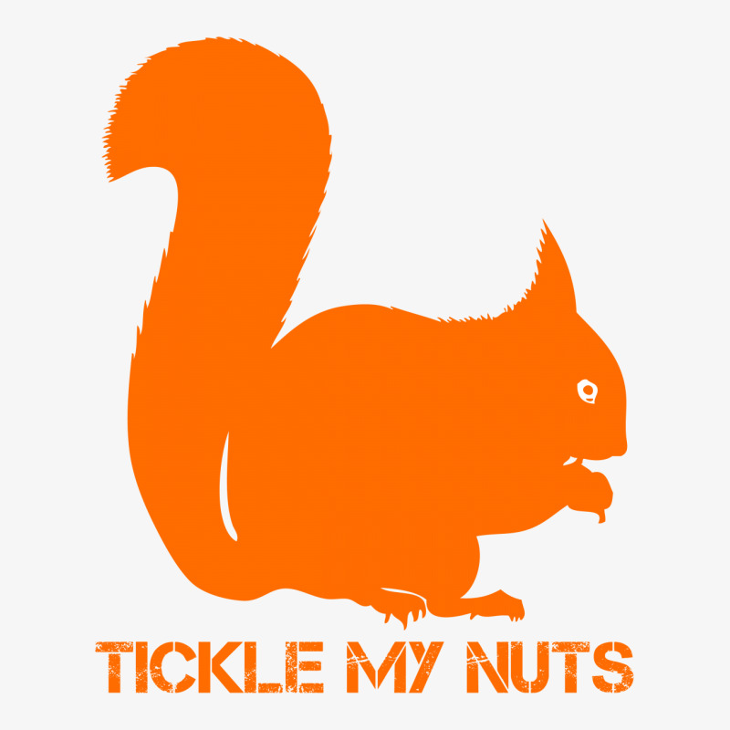 Tickle My Nuts Ladies Fitted T-Shirt by DitreamX | Artistshot