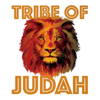 Tribe Of Judah 12 Tribes Of Israel Messianic Premium T Shirt Youth Zipper Hoodie | Artistshot