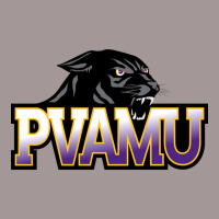 Prairie View A&m Panthers Vintage Hoodie | Artistshot