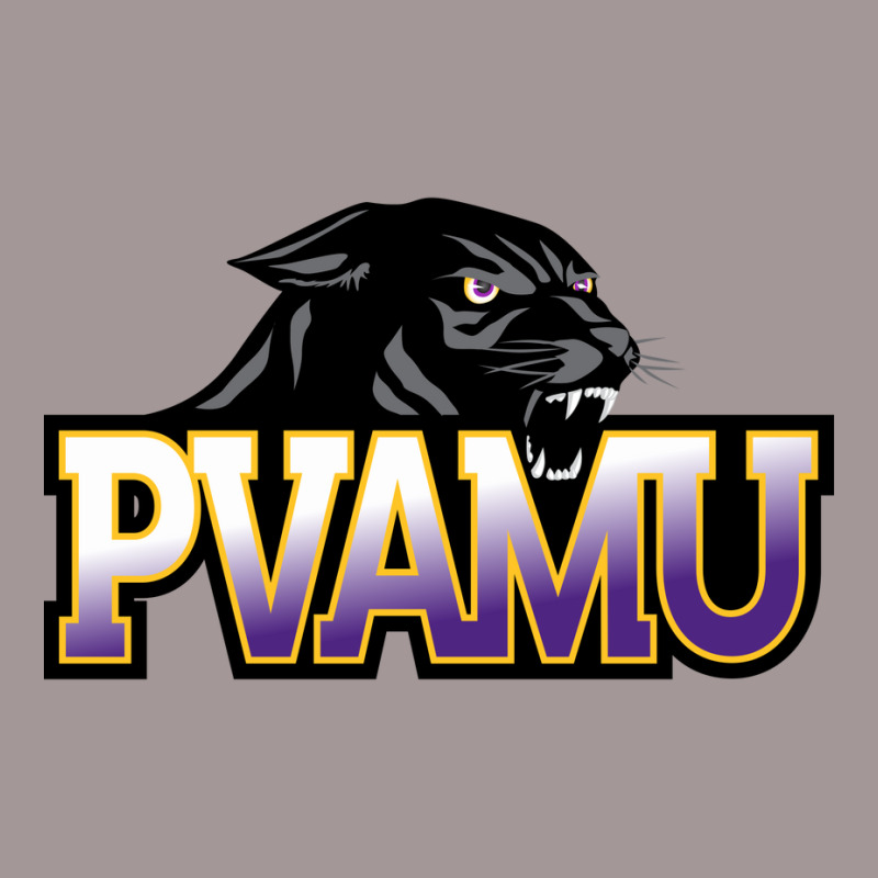 Prairie View A&m Panthers Vintage Hoodie by diamonshop | Artistshot