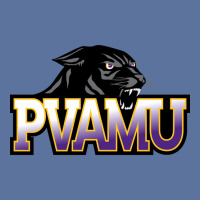 Prairie View A&m Panthers Lightweight Hoodie | Artistshot