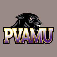 Prairie View A&m Panthers Vintage T-shirt | Artistshot