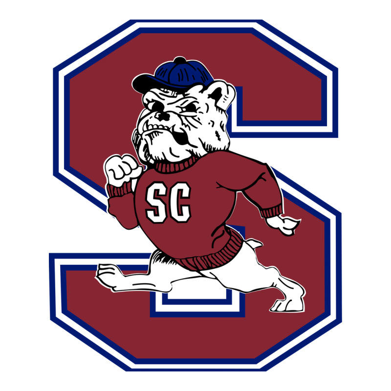 South Carolina State Bulldogs V-Neck Tee by diamonshop | Artistshot