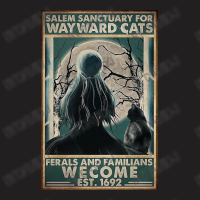 Cats Salem Sanctuary For Way Ward T-shirt | Artistshot