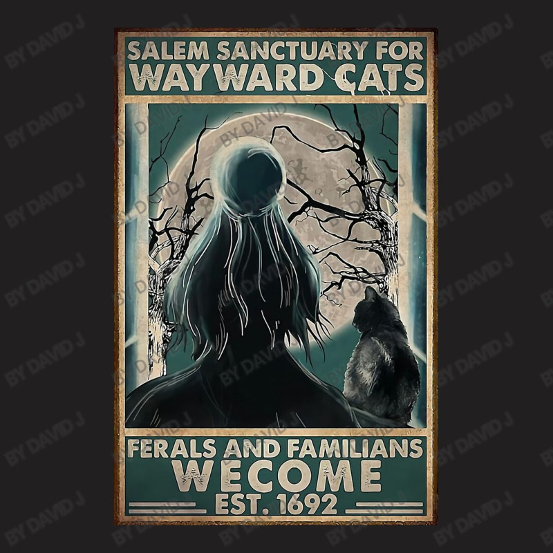 Cats Salem Sanctuary For Way Ward T-Shirt by David J | Artistshot