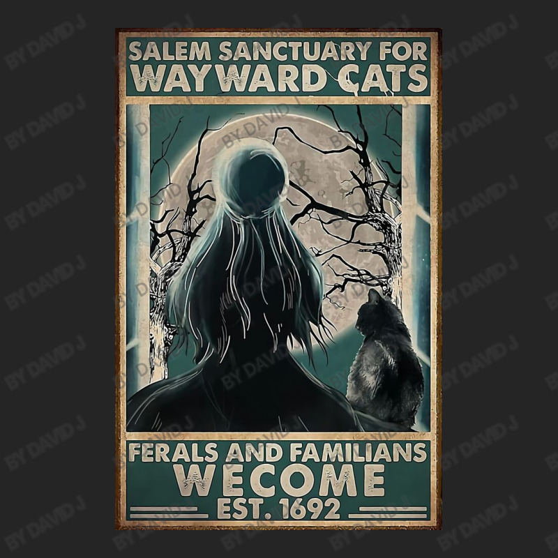 Cats Salem Sanctuary For Way Ward Unisex Hoodie by David J | Artistshot