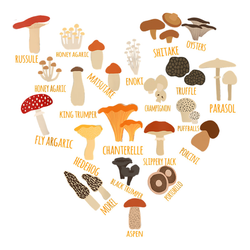 Mushroom Mycology Fungi Foraging Heart Love Chart T Shirt Baby Tee by BrunkeMiaysia | Artistshot