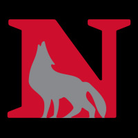 The Newberry Wolves Lightweight Hoodie | Artistshot