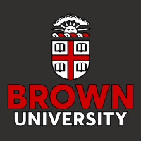 Brown University Champion Hoodie | Artistshot