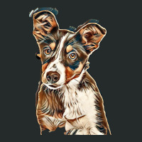 Australian Shepherd Dog Against Green Background Women's Triblend Scoop T-shirt | Artistshot