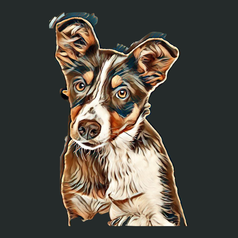 Australian Shepherd Dog Against Green Background Women's Triblend Scoop T-shirt by Kemnabi | Artistshot