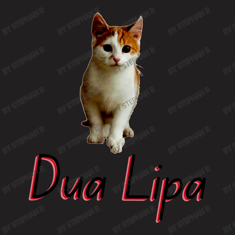 Dua   Cat  Funny Kitten Meme T-shirt | Artistshot