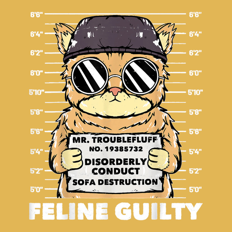 Funny Cat  Feline Guilty  Guilty Cat Trouble Fluff Mugshot Vintage Hoodie And Short Set | Artistshot