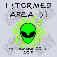 I Stormed Area 51 Fleece Short | Artistshot