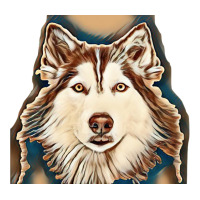 Siberian Husky Studio Shoot. Women's Pajamas Set | Artistshot