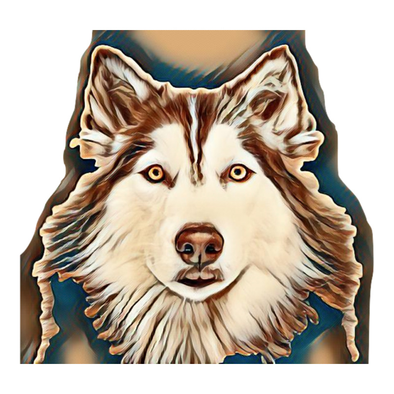 Siberian Husky Studio Shoot. Men's T-shirt Pajama Set by Kemnabi | Artistshot