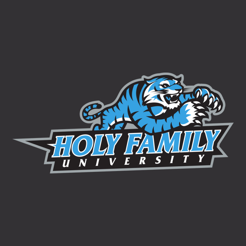 Holy Family University, Tigers Vintage Hoodie | Artistshot