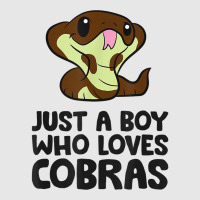 King Cobra Snake Just A Boy Who Loves Cobras T Shirt Hoodie & Jogger Set | Artistshot