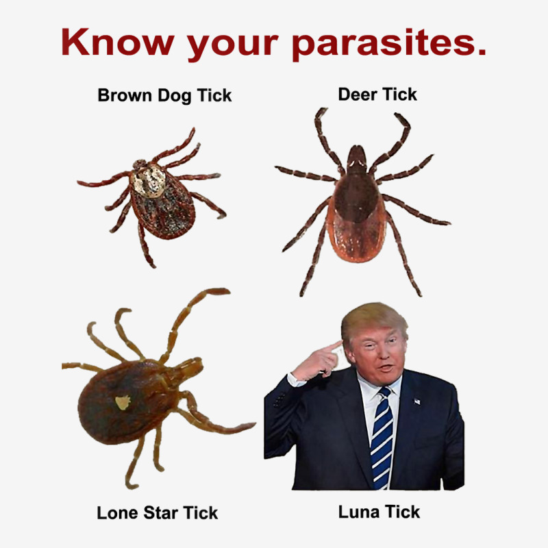 Know Your Parasites T Shirt  Trump Adjustable Cap by evansjalayia | Artistshot