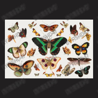 Butterfly  Vintage Sticker T-shirt | Artistshot