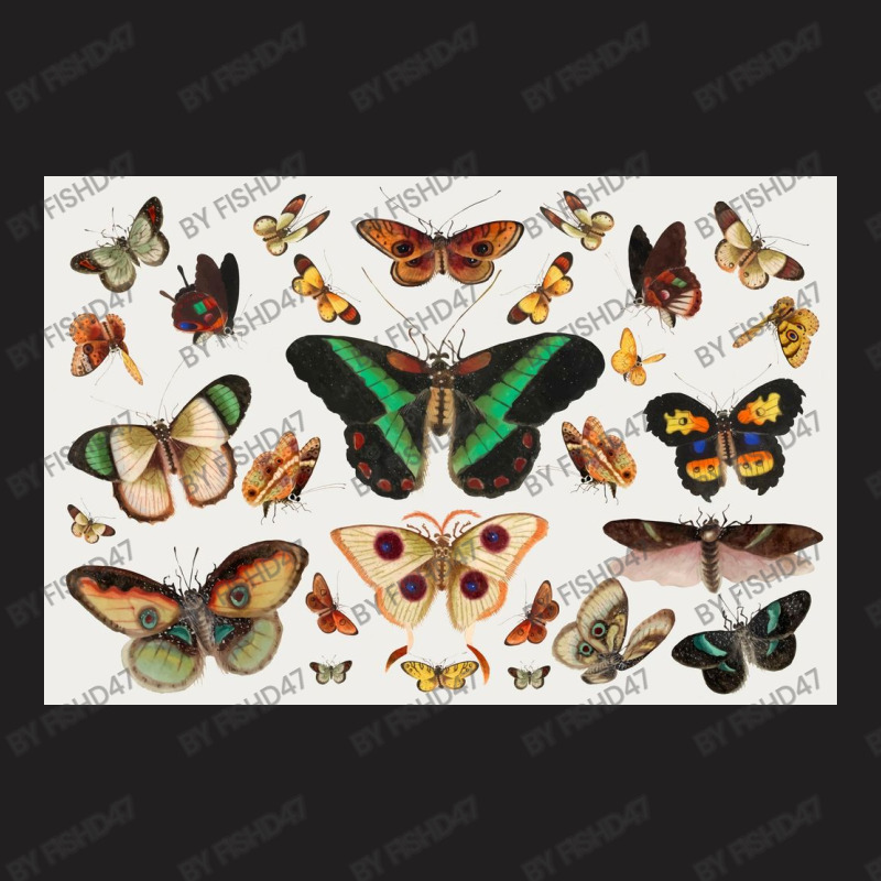 Butterfly  Vintage Sticker T-shirt | Artistshot