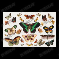 Butterfly  Vintage Sticker Unisex Jogger | Artistshot