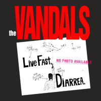 Best The Vandals Music Ladies Fitted T-shirt | Artistshot