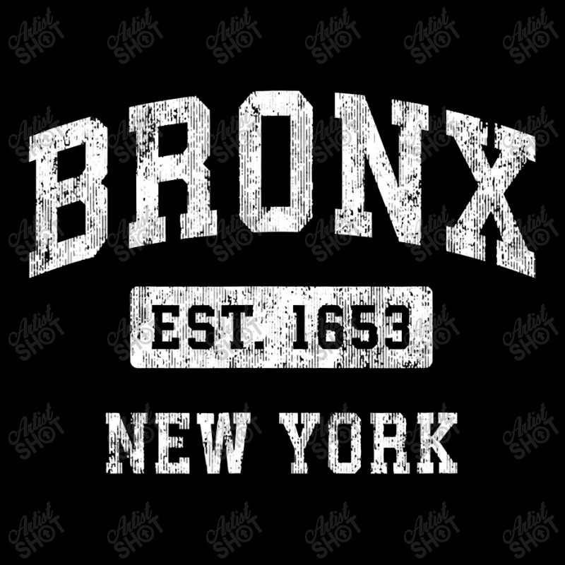 Bronx New York Ny Vintage Established Sports Design , Best Gift, Costu V-neck Tee | Artistshot