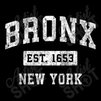 Bronx New York Ny Vintage Established Sports Design , Best Gift, Costu Long Sleeve Shirts | Artistshot