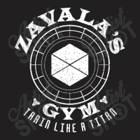 Destiny Titan Gym T-shirt | Artistshot