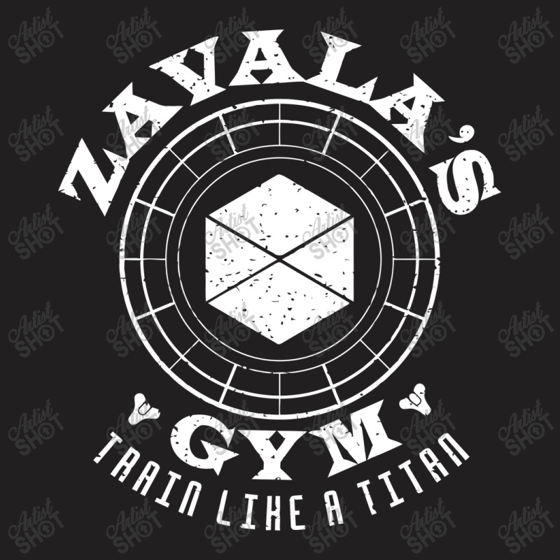 Destiny Titan Gym T-shirt | Artistshot