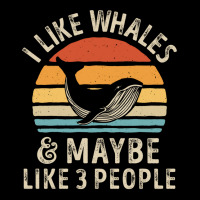 I Like Whales And Maybe 3 People Funny Whale Sea Ocean Gifts Sweatshir Youth Jogger | Artistshot