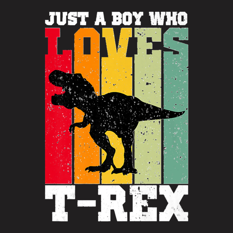 Just A Boy Who Loves T Rex Dinosaur Premium T-shirt | Artistshot