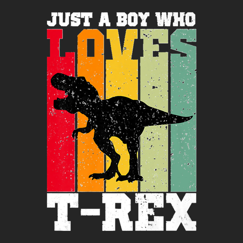 Just A Boy Who Loves T Rex Dinosaur Premium Unisex Hoodie | Artistshot