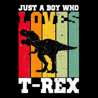 Just A Boy Who Loves T Rex Dinosaur Premium Men's 3/4 Sleeve Pajama Set | Artistshot