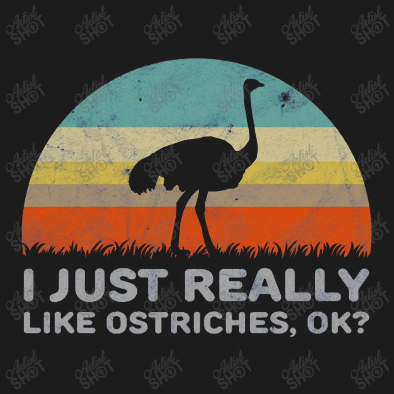 Funny I Just Really Like Ostriches Ok For Ostrich Lover Design Hoodie & Jogger Set | Artistshot