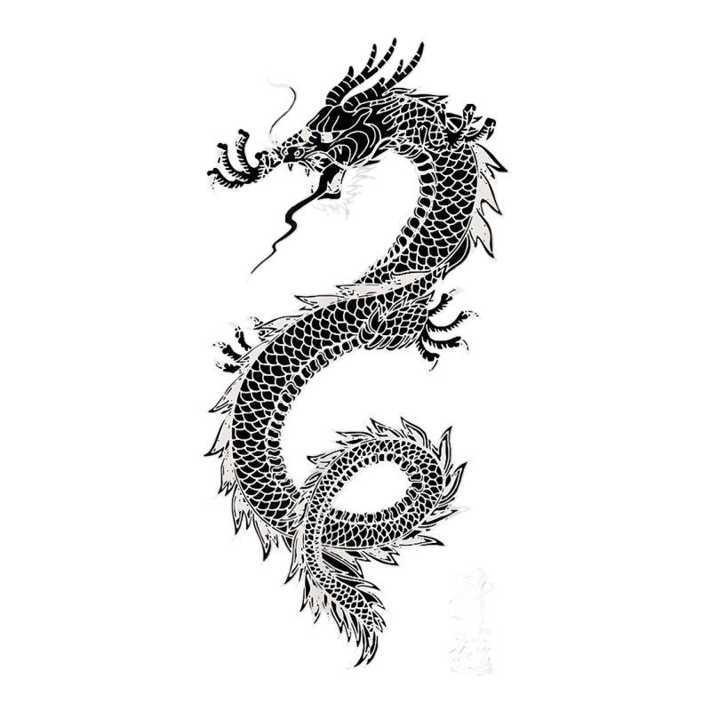 Chinese Dragon Gift T Shirt, Asian Dragon Art, Dk Sticker | Artistshot