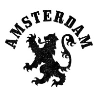 Amsterdam Netherlands Lion Dutch Holland Vintage Amsterdam T Shirt Youth Hoodie | Artistshot