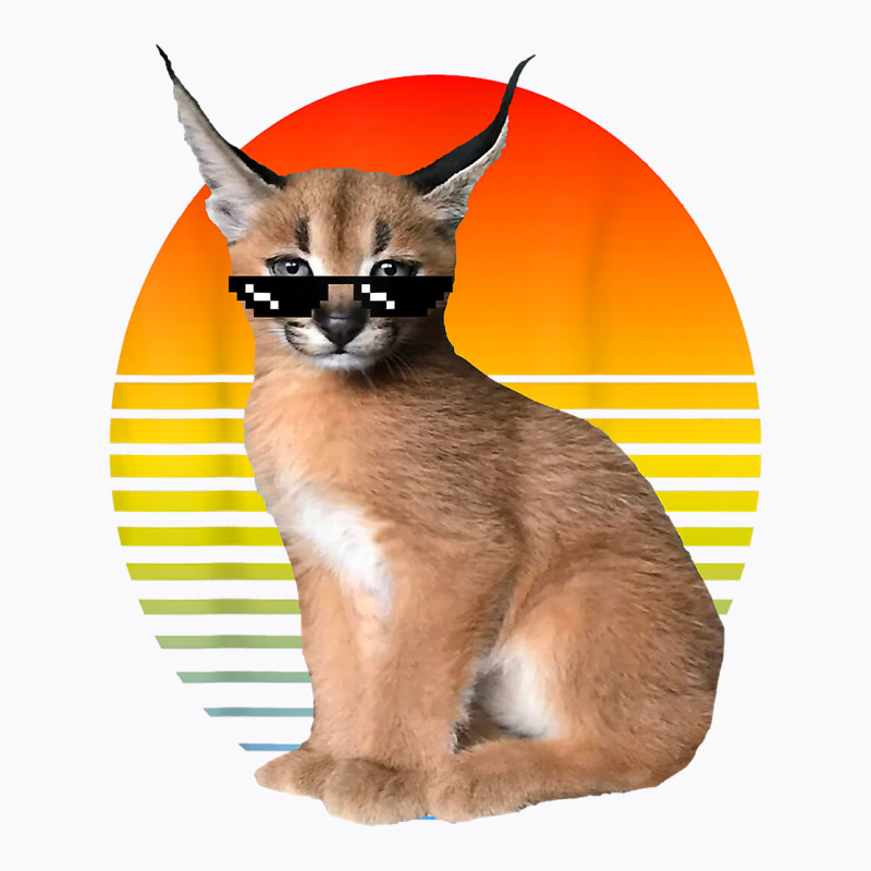  Big Floppa Meme Cute Caracal Cat Zip Hoodie : Clothing