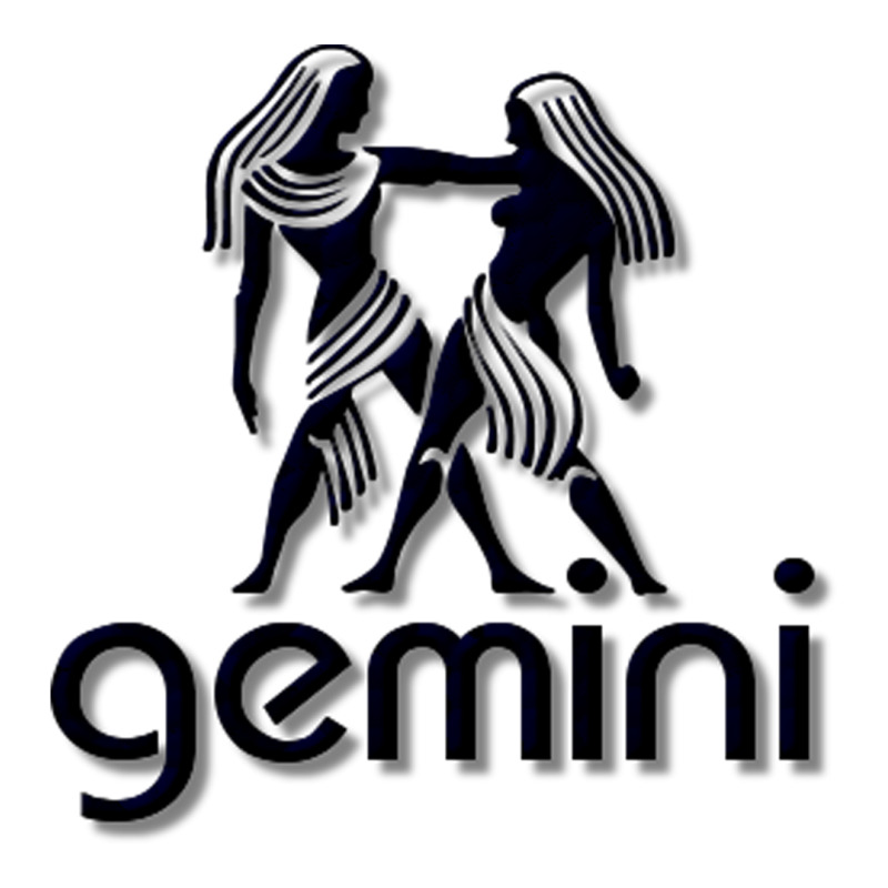 Gemini Stainless Steel Water Bottle | Artistshot