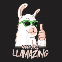 You Are Llamazing   Birthday Party Cool Alpaca Hipster Drips T Shirt T-shirt | Artistshot