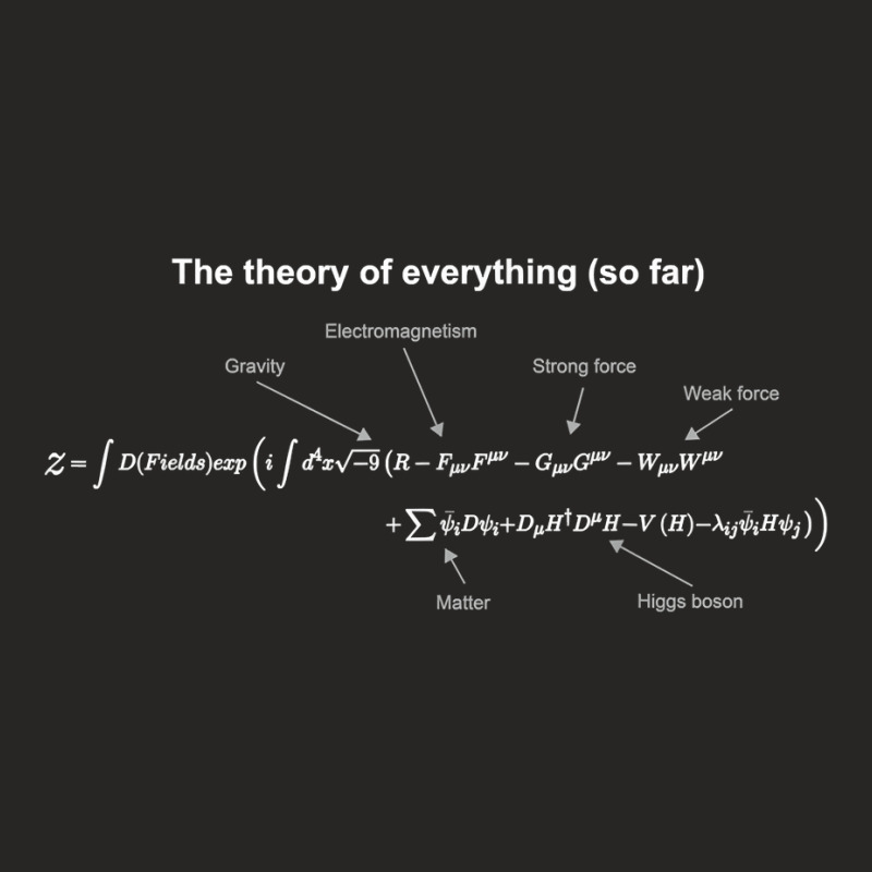 The Theory Of Everything (so Far) Equation Ladies Fitted T-Shirt by swaratpoavonabil | Artistshot