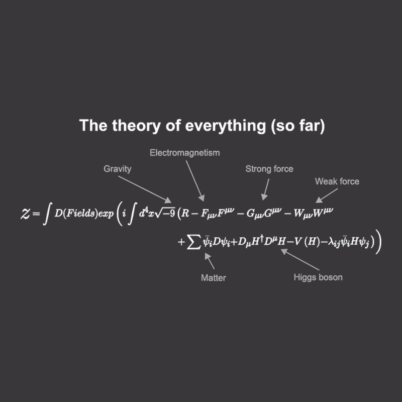 The Theory Of Everything (so Far) Equation Ladies Curvy T-Shirt by swaratpoavonabil | Artistshot