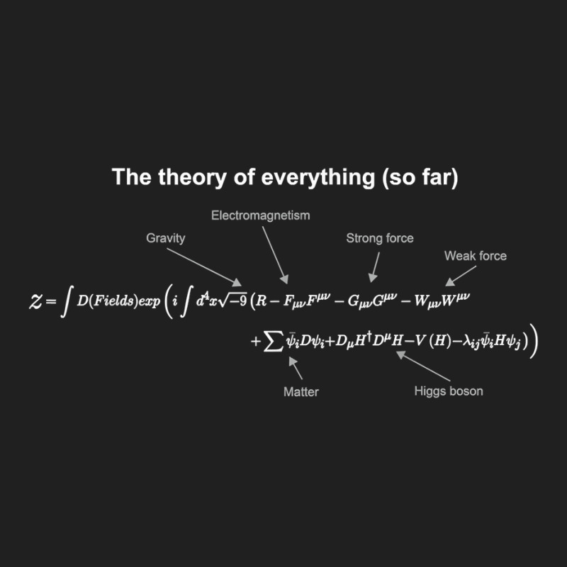 The Theory Of Everything (so Far) Equation Ladies Polo Shirt by swaratpoavonabil | Artistshot