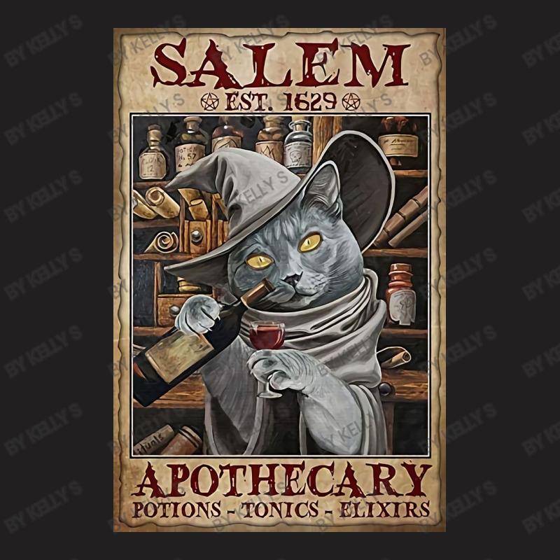 Salem Est. 1629 T-Shirt by Kelly S | Artistshot