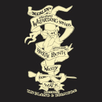 Merlins Wizarding Services T-shirt | Artistshot