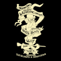 Merlins Wizarding Services V-neck Tee | Artistshot