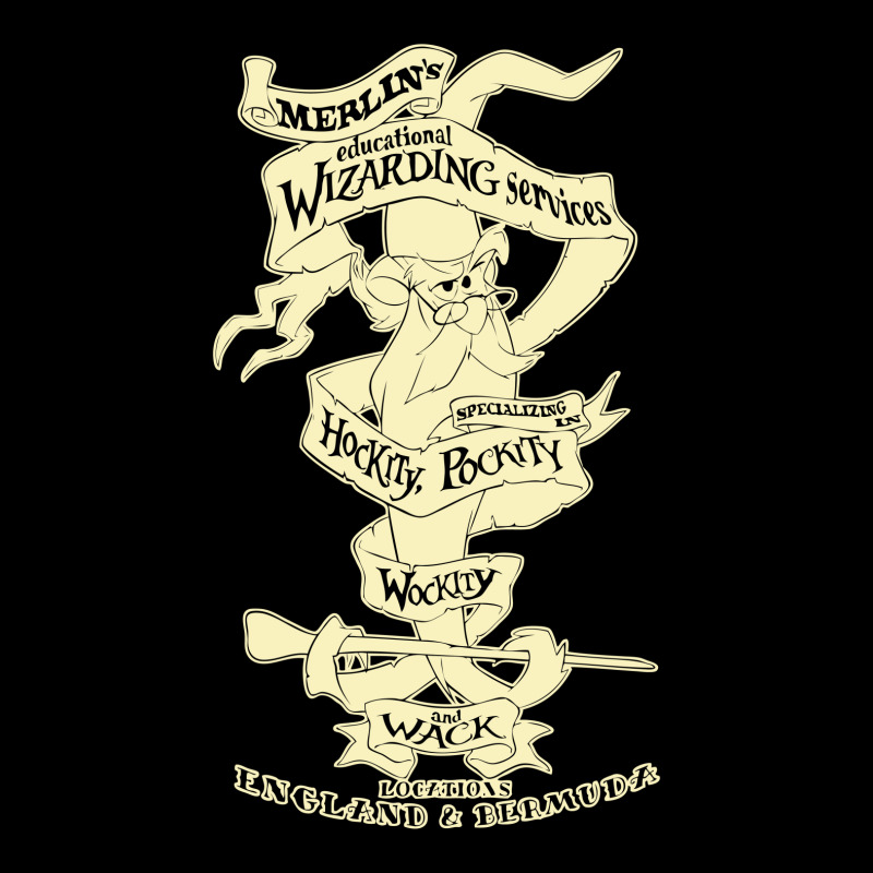 Merlins Wizarding Services V-neck Tee | Artistshot