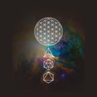 Flower Of Life Platonic Solids Mandala Long Sleeve T Shirt Tank Top | Artistshot