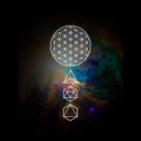 Flower Of Life Platonic Solids Mandala Long Sleeve T Shirt V-neck Tee | Artistshot